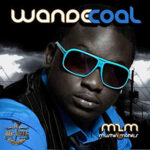 Wande Coal Album 